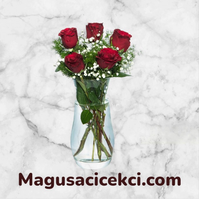 5 Kırmızı Gül Vazosu