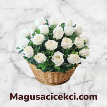 Sepette 21 Beyaz Gül