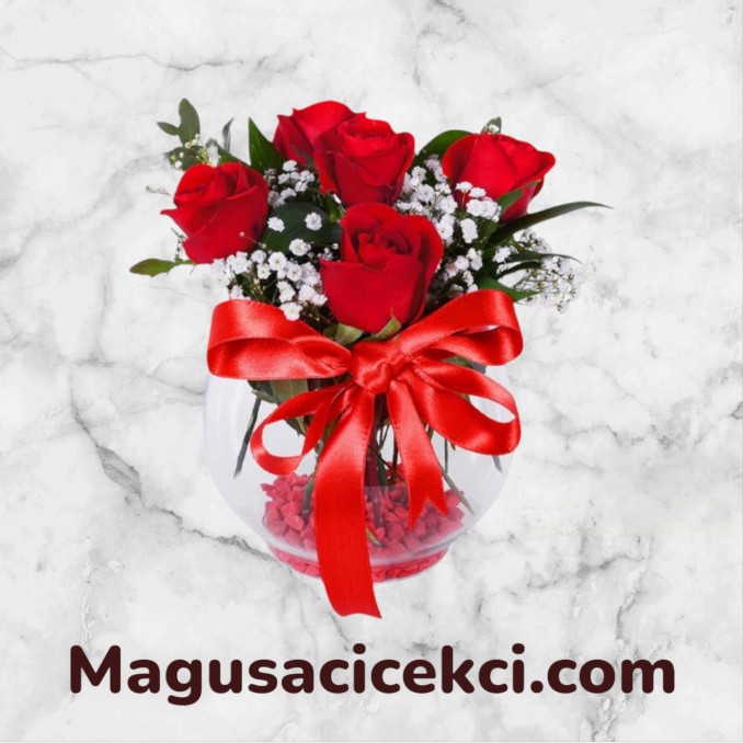 Akvaryumda 5 Kırmızı Gül