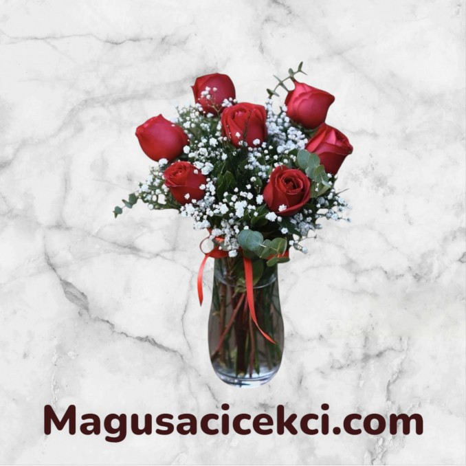 Vazoda 7 Kırmızı Gül