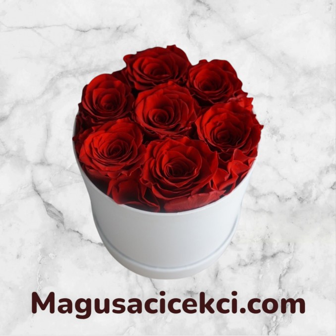 Kutuda 7 Kırmızı Gül