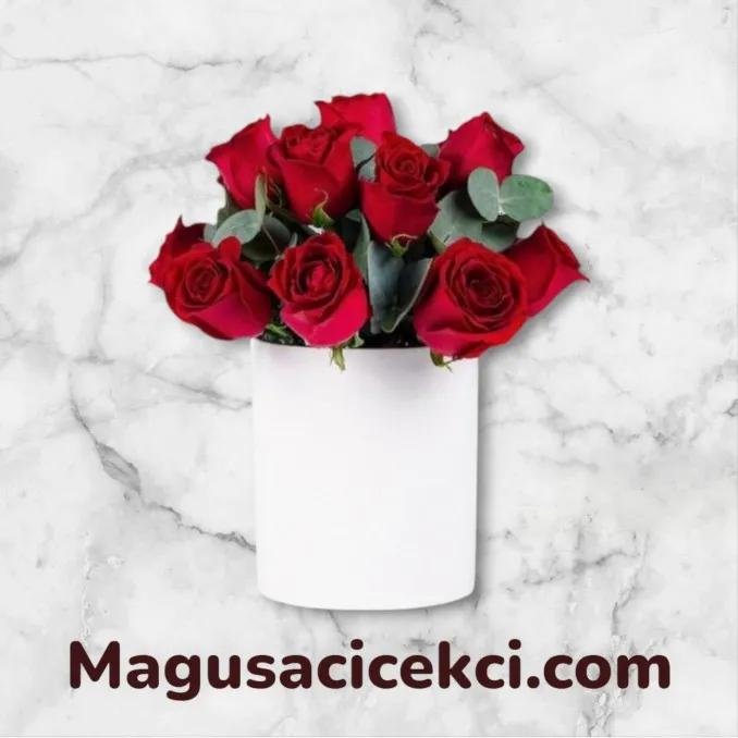 Seramikte 11 Kırmızı Gül