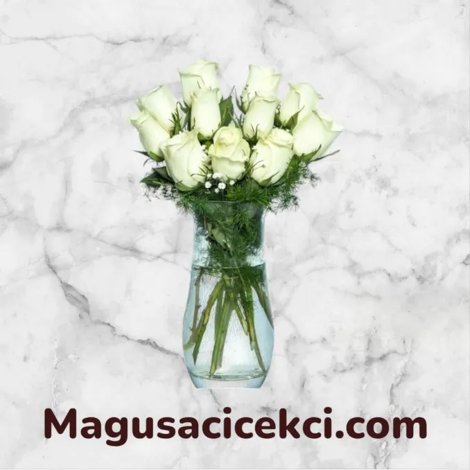 Vazoda 11 Beyaz Gül