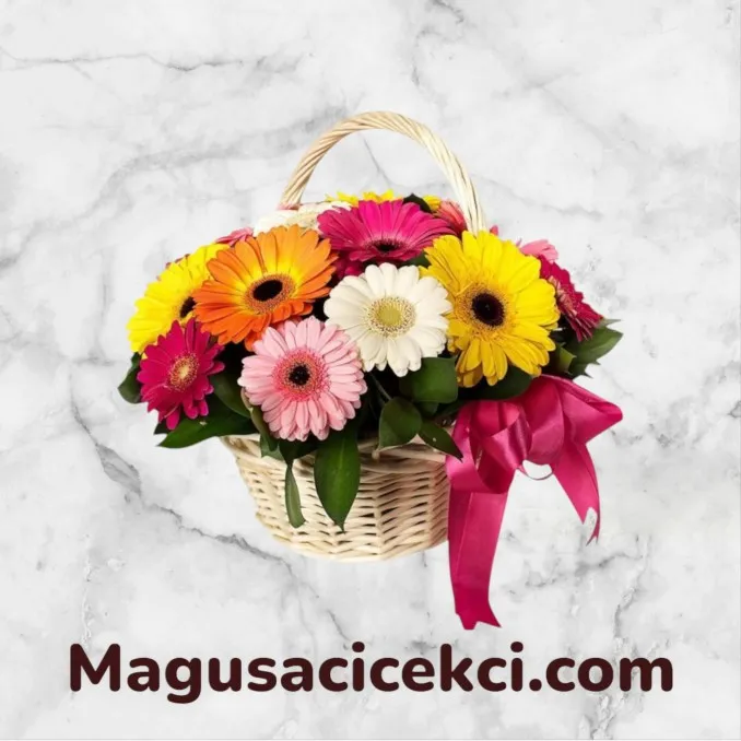 Renkli Gerbera Sepeti