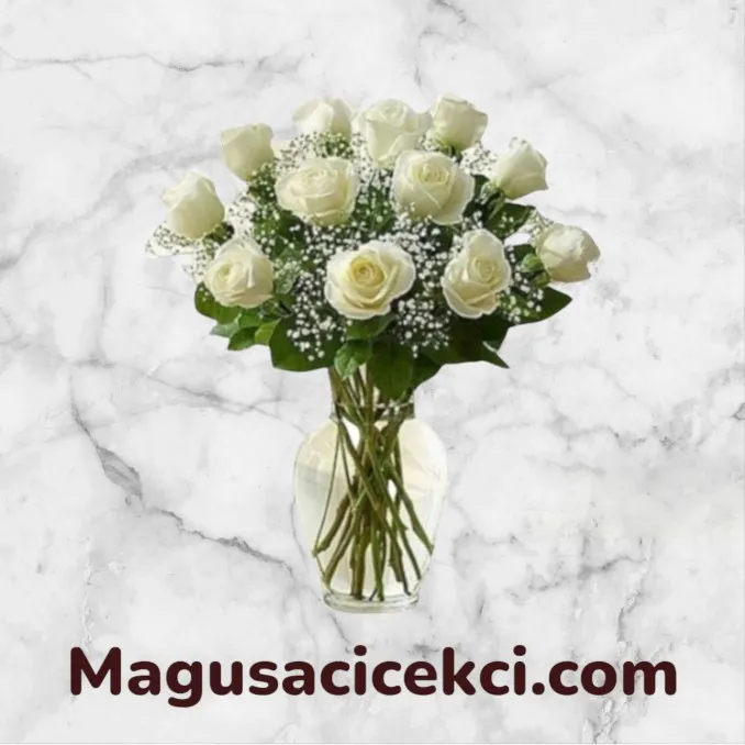 Vazoda 13 Beyaz Gül