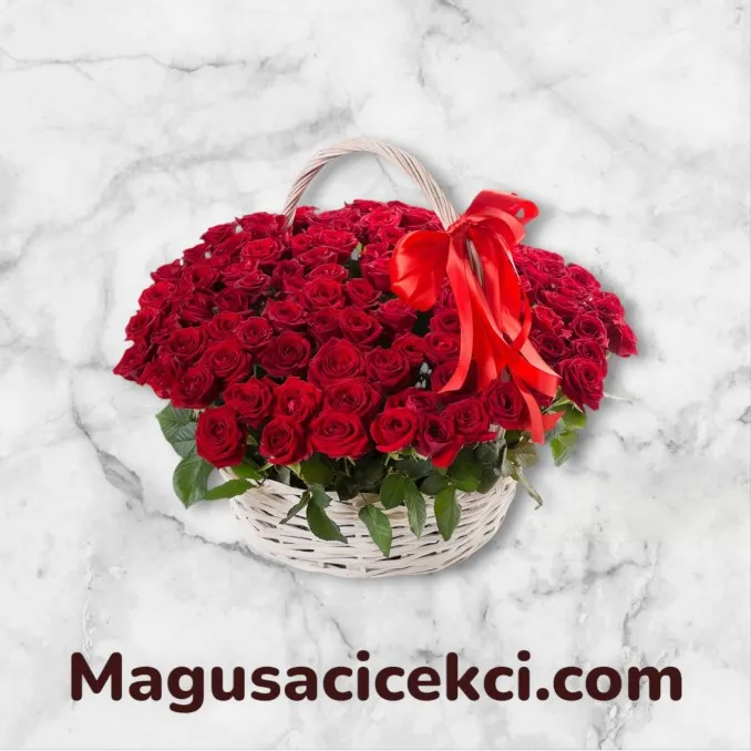Sepette 101 Kırmızı Gül