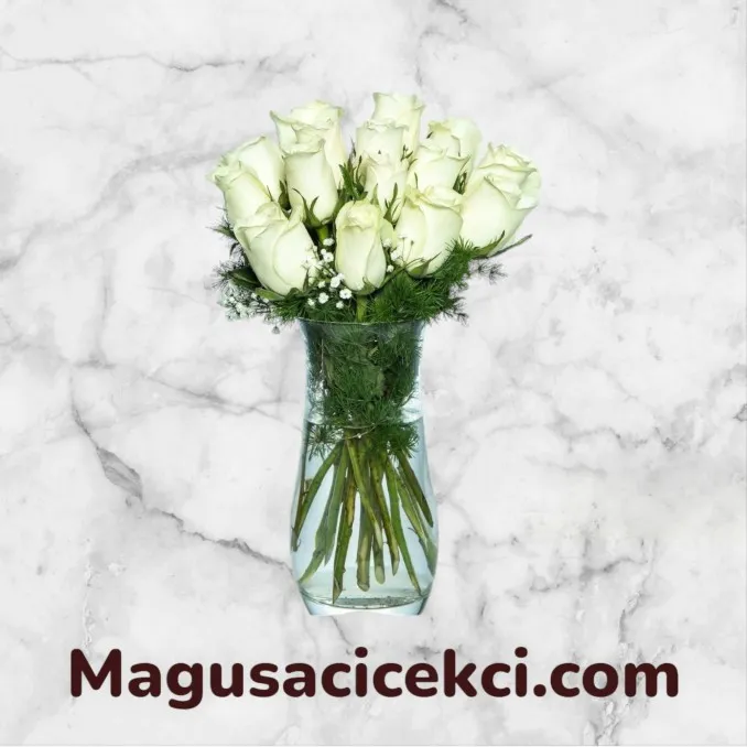 Vazoda 15 Beyaz Gül