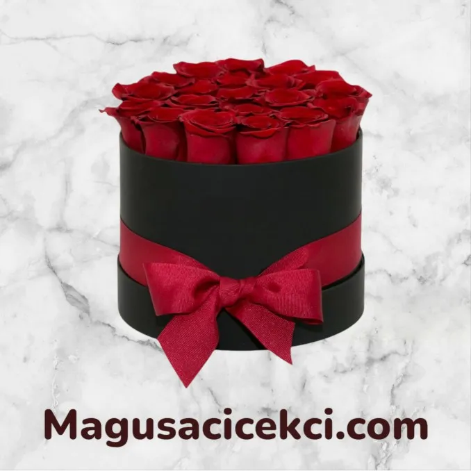 Kutuda 20 Kırmızı Gül