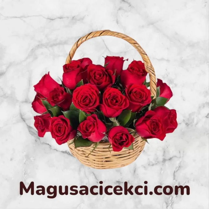 Sepette 21 Kırmızı Gül