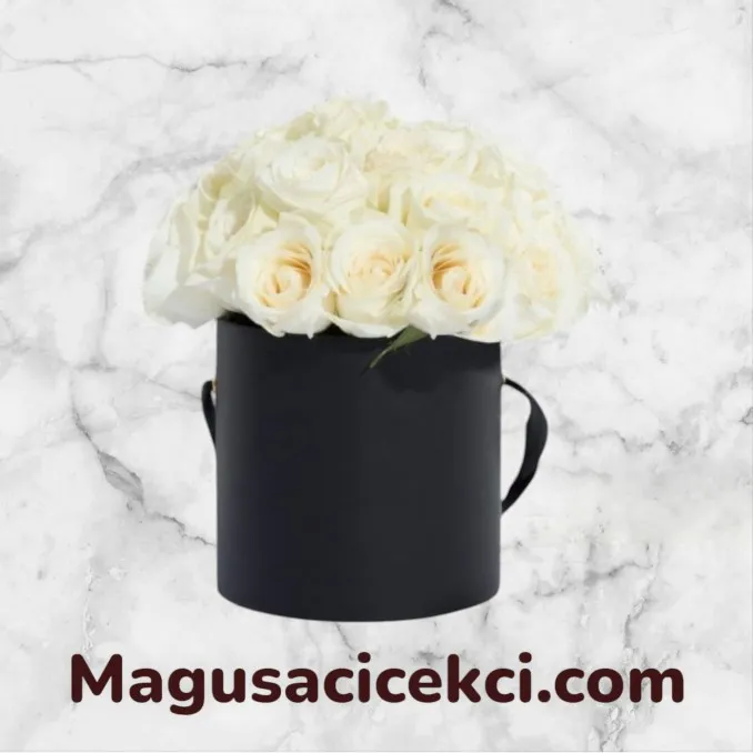 Kutuda 21 Beyaz Gül