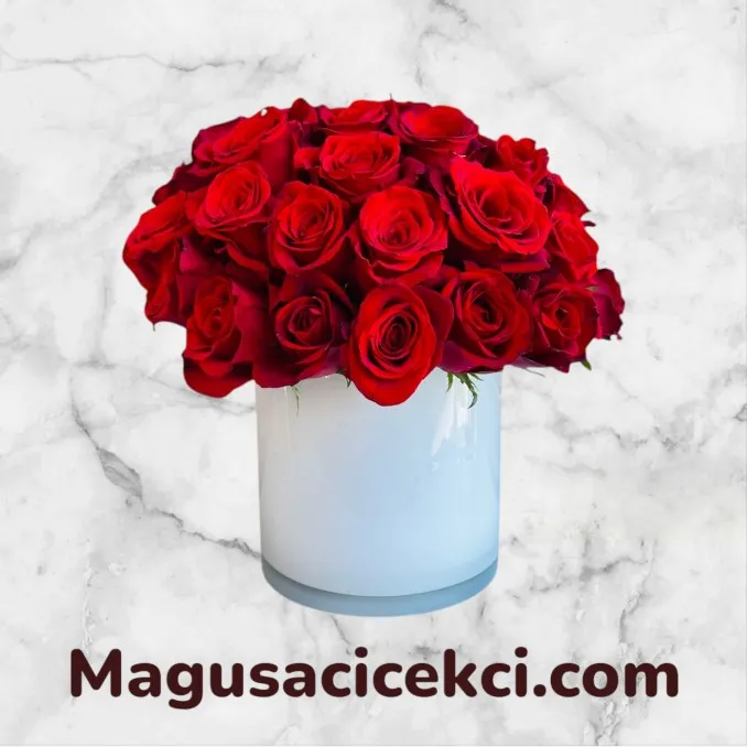 Seramikte 24 Kırmızı Gül