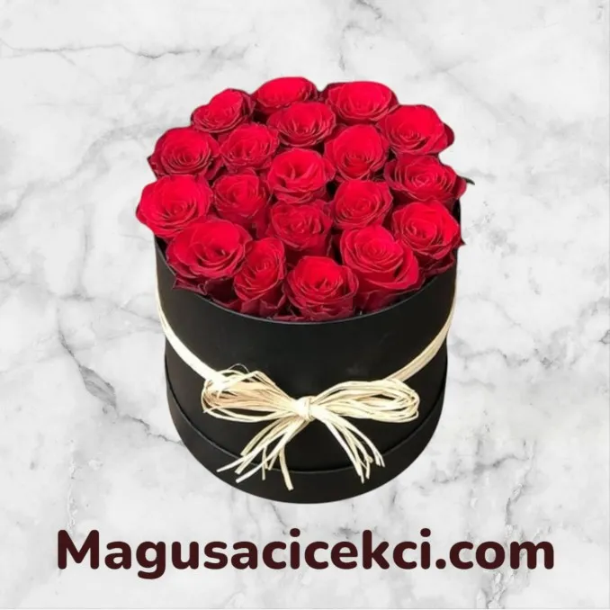 Kutuda 25 Kırmızı Gül