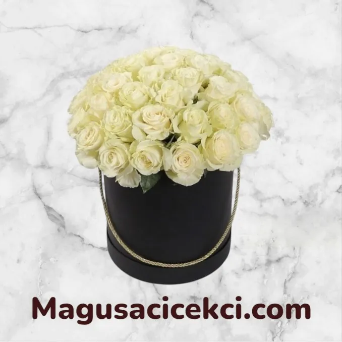 Kutuda 33 Beyaz Gül