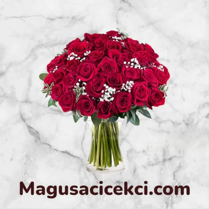 Vazoda 37 Kırmızı Gül