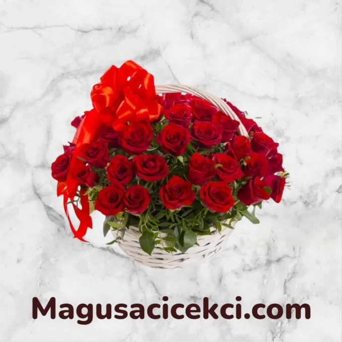 Sepette 51 Kırmızı Gül