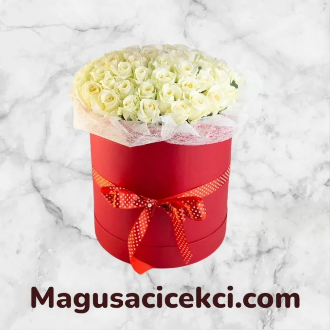 Kutuda 51 Beyaz Gül