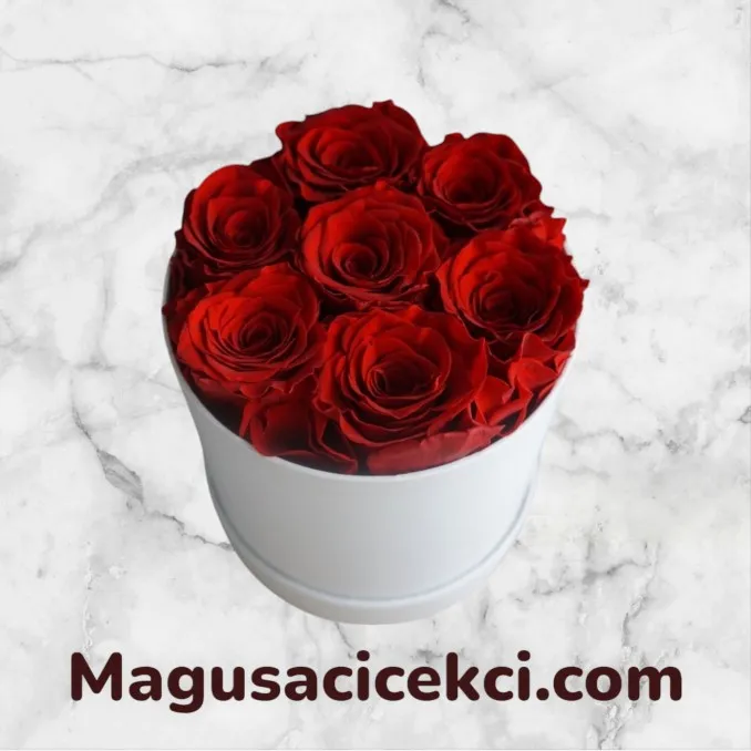 Kutuda 7 Kırmızı Gül